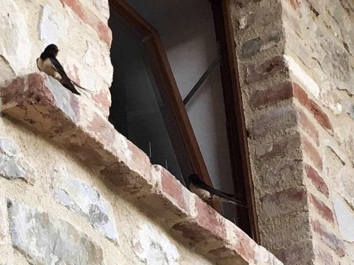 Вилла San Venanzo - Casale De Conti Экстерьер фото